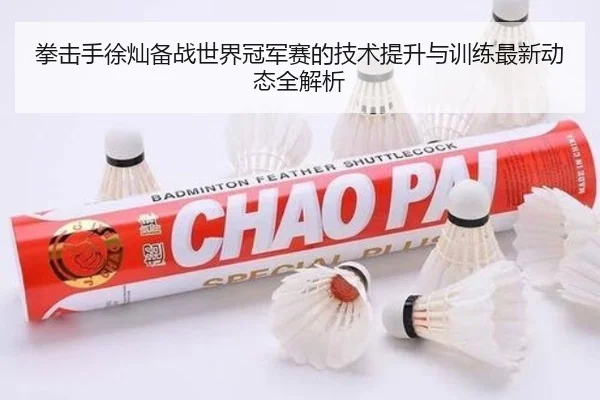 拳击手徐灿备战世界冠军赛的技术提升与训练最新动态全解析